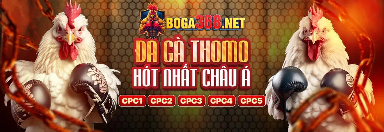 Đội Ngũ Chuyên Nghiệp